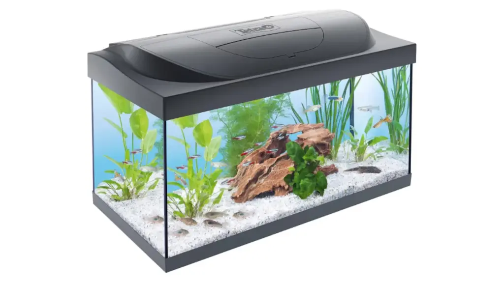 We tested the best aquariums for beginners and this is the winner.