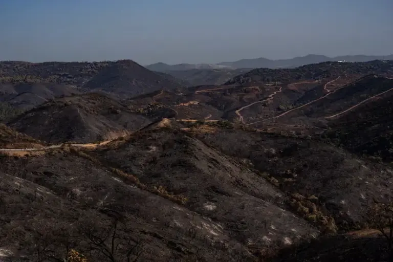 Berrocal was saved for the fifth time from the flames with 12 neighbors hiding to defend the town: “The fire stayed 50 meters away”