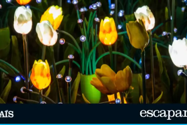 Flowers that decorate by day and light up by night: the perfect solar LED lamps to decorate the garden in August