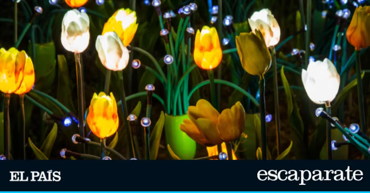 Flowers that decorate by day and light up by night: the perfect solar LED lamps to decorate the garden in August