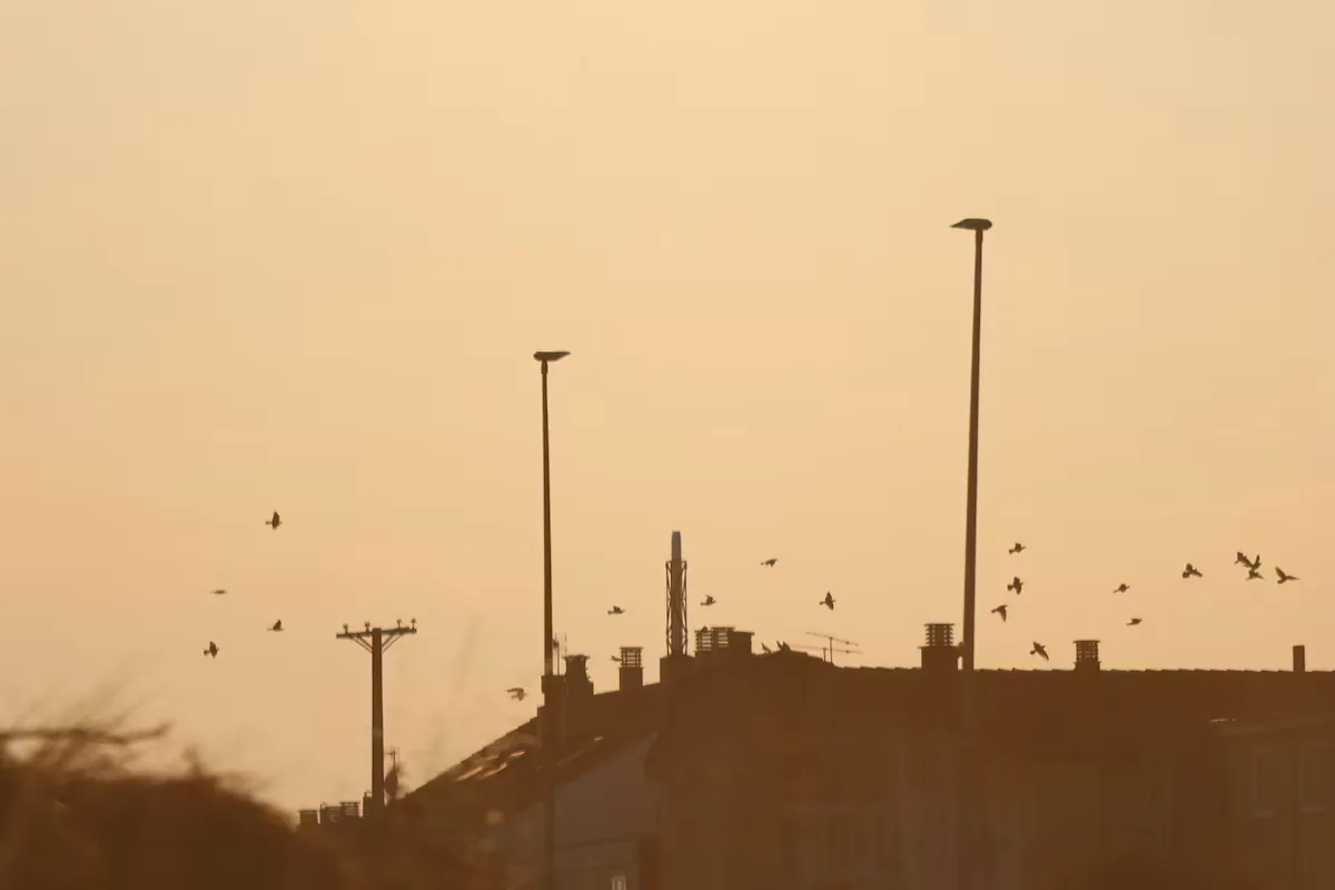 The electrical system and telecommunications surpass the total solar eclipse in Spain without incidents