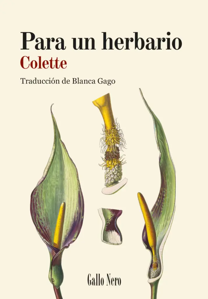 Colette's Herbarium: An Imagined Natural History of Flowers