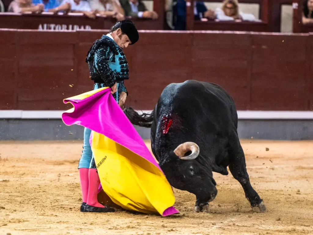 A bull of triumph vanished in the confirmation of Antonio Puerta in Madrid