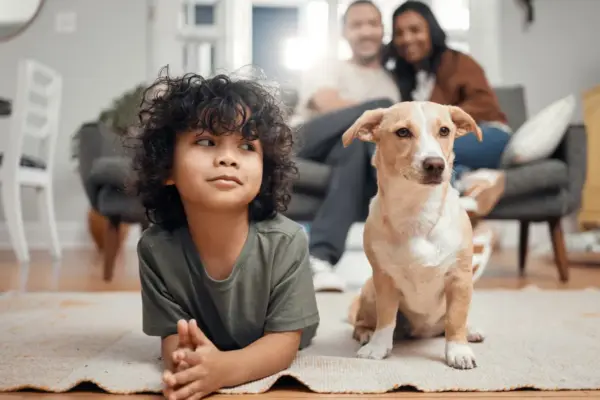 Dogs vs children: why is the increase in pets related to the decline in birth rates?