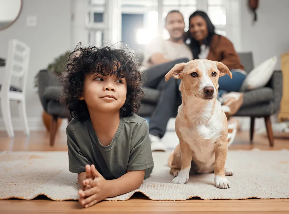Dogs vs children: why is the increase in pets related to the decline in birth rates?
