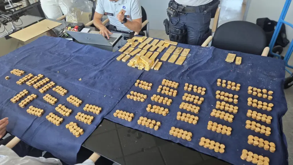 In Search of the Lost Owner: Belgium Investigates the Origin of a Millionaire Treasure Discovered by a Worker