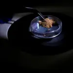 Brazil uses forensic science to combat illegal mining