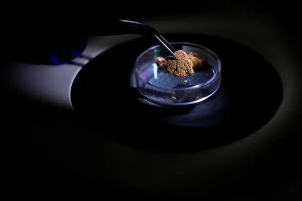 Brazil uses forensic science to combat illegal mining