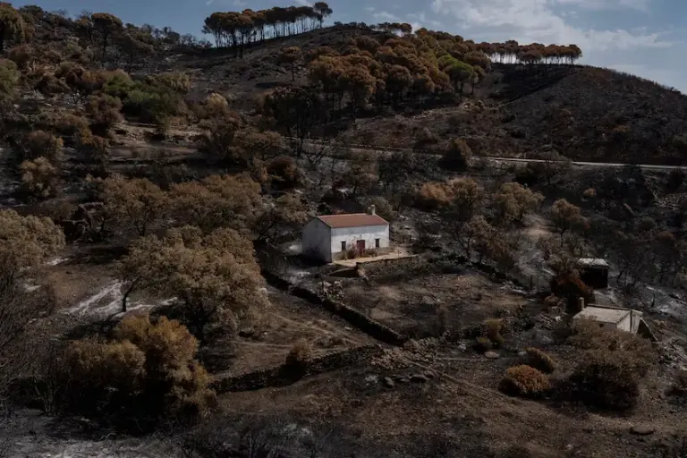 Berrocal was saved for the fifth time from the flames with 12 neighbors hiding to defend the town: “The fire stayed 50 meters away”