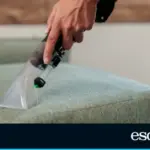 The upholstery vacuum cleaner that makes sofas and carpets look like new drops to its lowest price: 89.99 euros