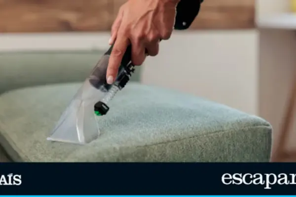 The upholstery vacuum cleaner that makes sofas and carpets look like new drops to its lowest price: 89.99 euros