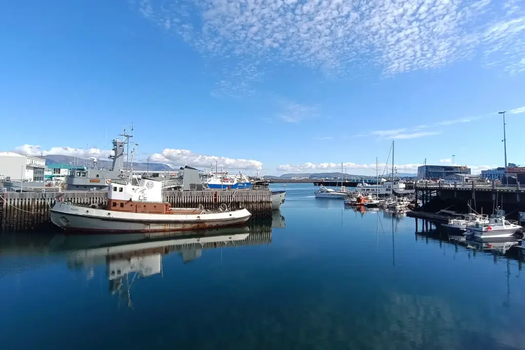Iceland's no weakens the EU against Trump and anti-European forces