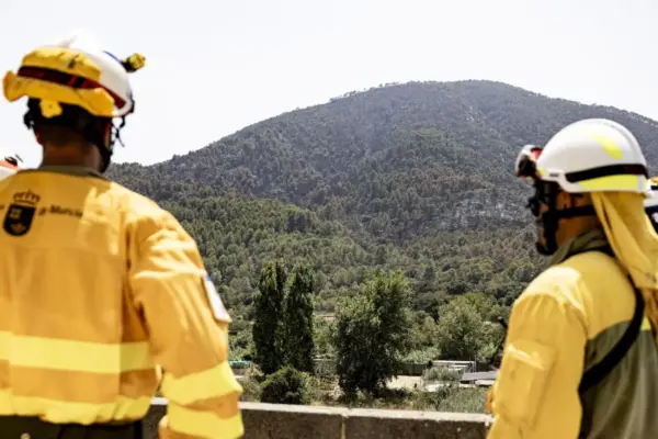 Fire in the Serra d’Espadà, story of a failure