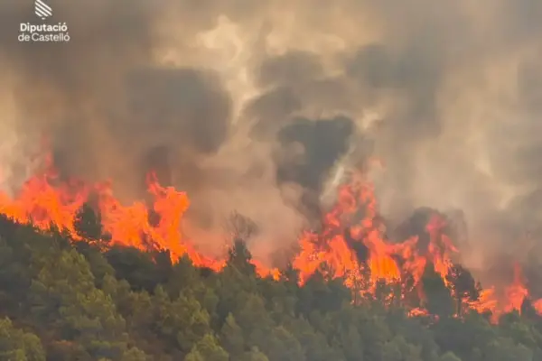 Firefighters strive to prevent the flames from the Segorbe fire from reaching the municipality of Gátova
