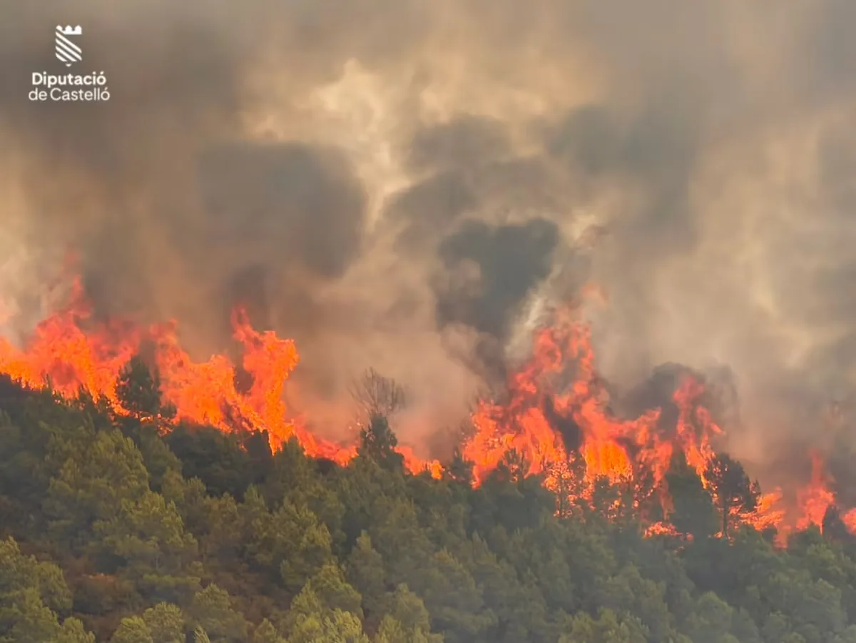 Firefighters strive to prevent the flames from the Segorbe fire from reaching the municipality of Gátova