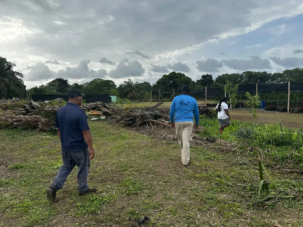 The resistance of the Garifunas to preserve their territory: “They will not take us out of our paradise”