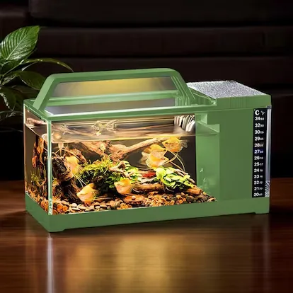We test the best aquariums for beginners