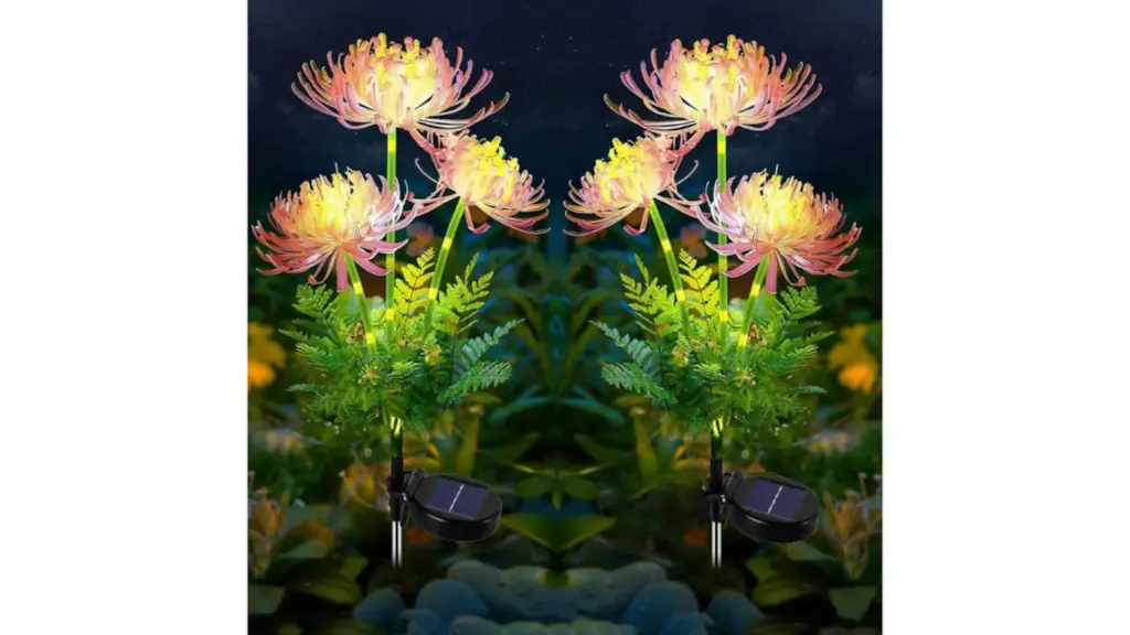 Luces led decorativas flores agosto 26 cuerpo 1