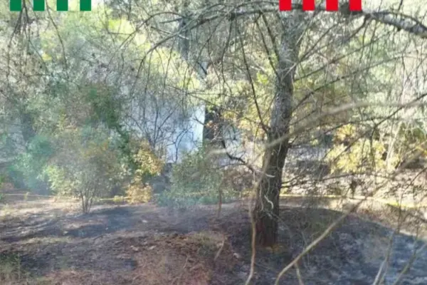 Woman arrested for starting a fire by lighting a fire to cook