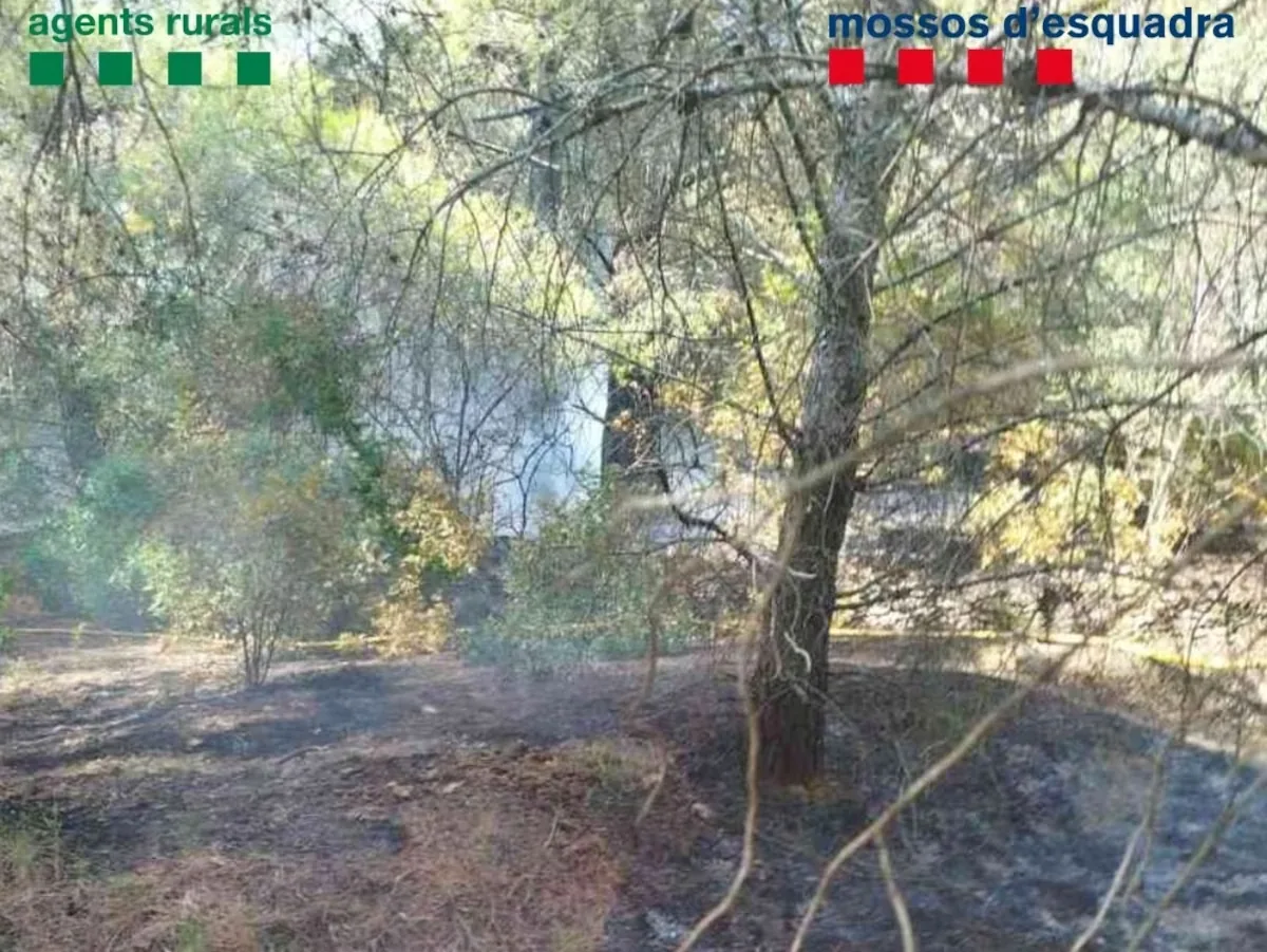 Woman arrested for starting a fire by lighting a fire to cook