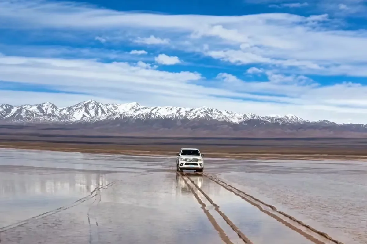 A driver damages Pampa del Leoncito, a natural jewel of northern Argentina