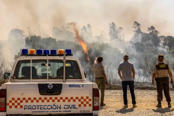 The Niebla fire progresses with "spectacular" leaps against the wind after burning 28,000 hectares