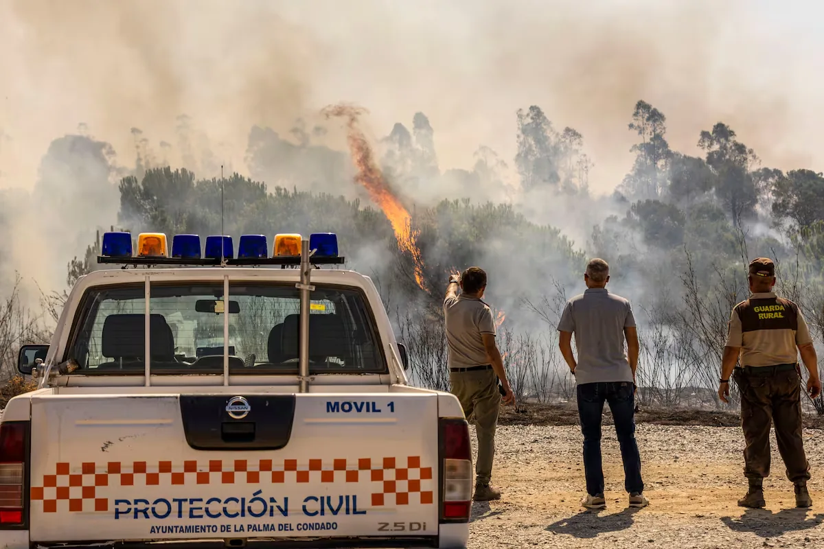 The Niebla fire progresses with "spectacular" leaps against the wind after burning 28,000 hectares