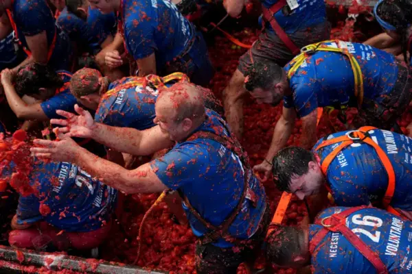 Today's La Tomatina, “as fun and as crazy” as ever: crushing the tomato with force and throwing it with enthusiasm