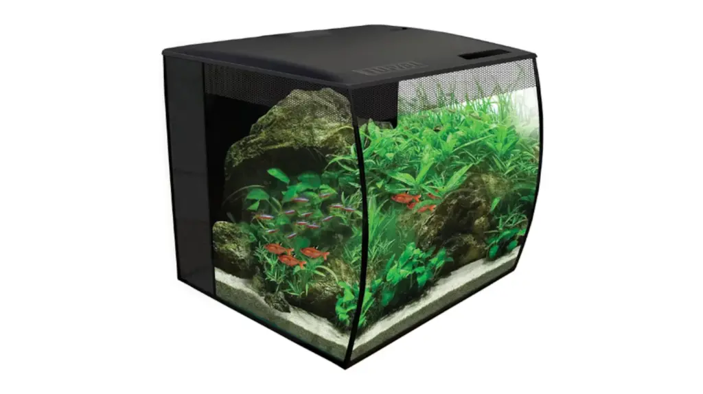 We tested the best aquariums for beginners and this is the winner.