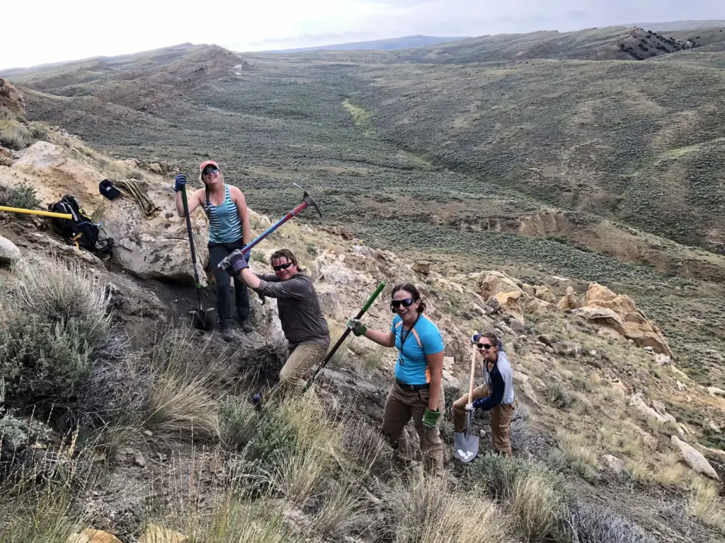 Temperate forests that disappeared in the past over millennia are now vanishing with the same pattern, but in decades