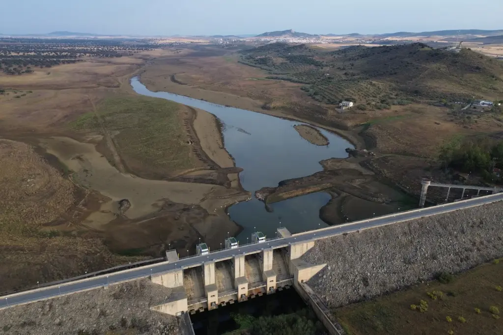 Environmental Hoax Detector | Five Myths About Forest Fires