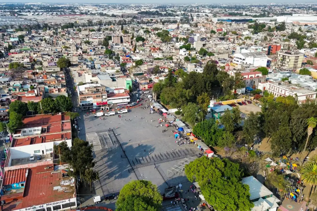 Contact zones: the future of trees in Mexico City