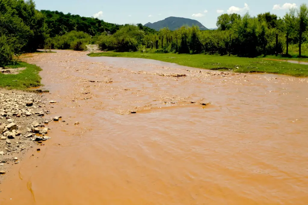 A ghost hospital and 12 years of abandonment: survivors of the toxic spill in the Sonora River demand help and reparation