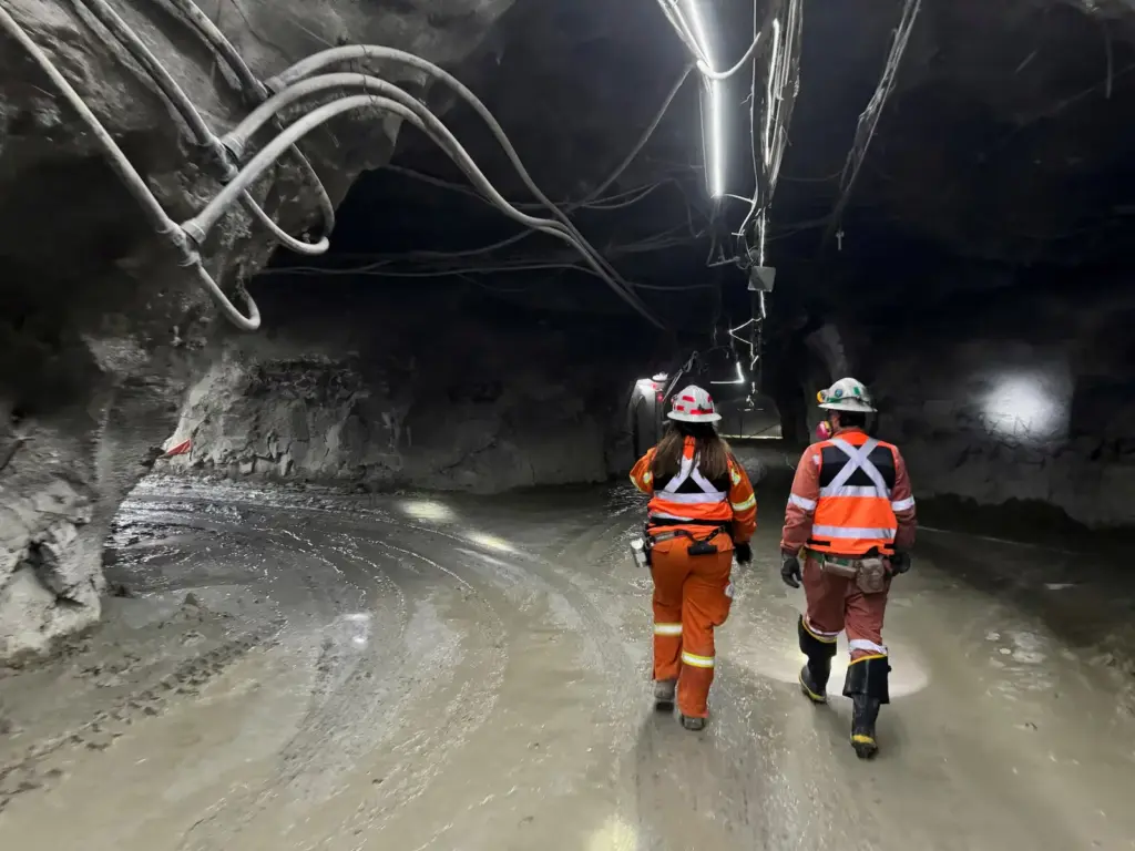 Codelco: more information to evaluate its decisions