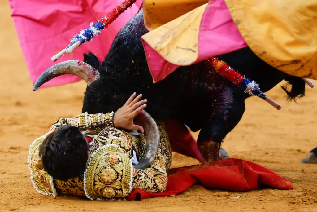 Málaga, first and third class bullring in Spain, in the context of a denatured bullfighting