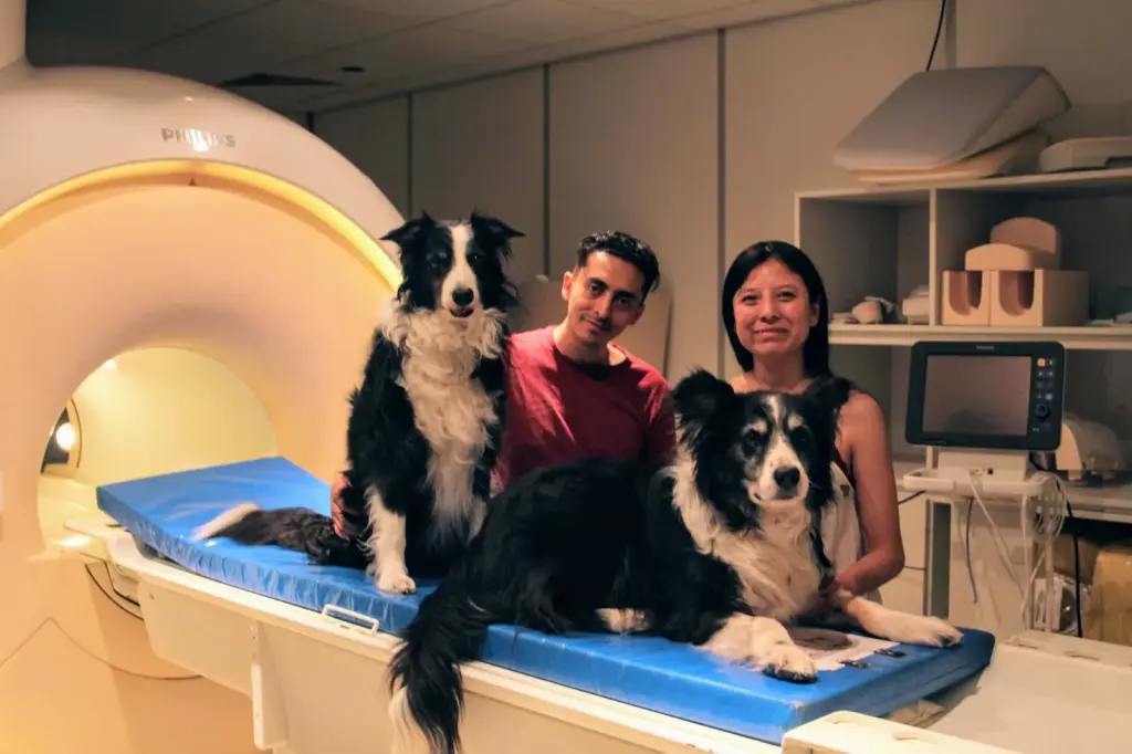 Your dog knows when you are sad and when you are afraid: this is how their brain distinguishes our emotions