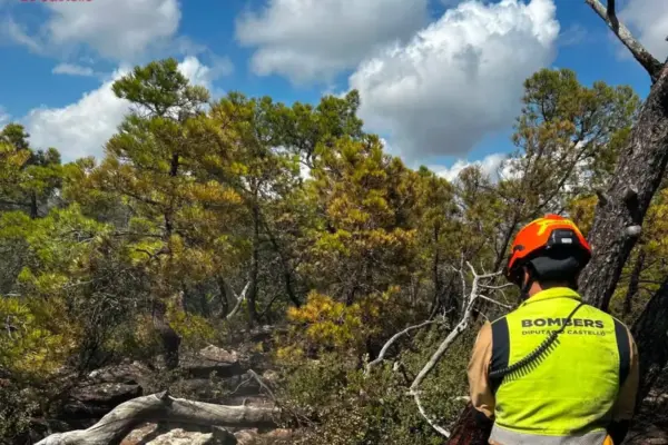 Forest fire in Segorbe stabilized after burning 630 hectares in the Sierra Calderona