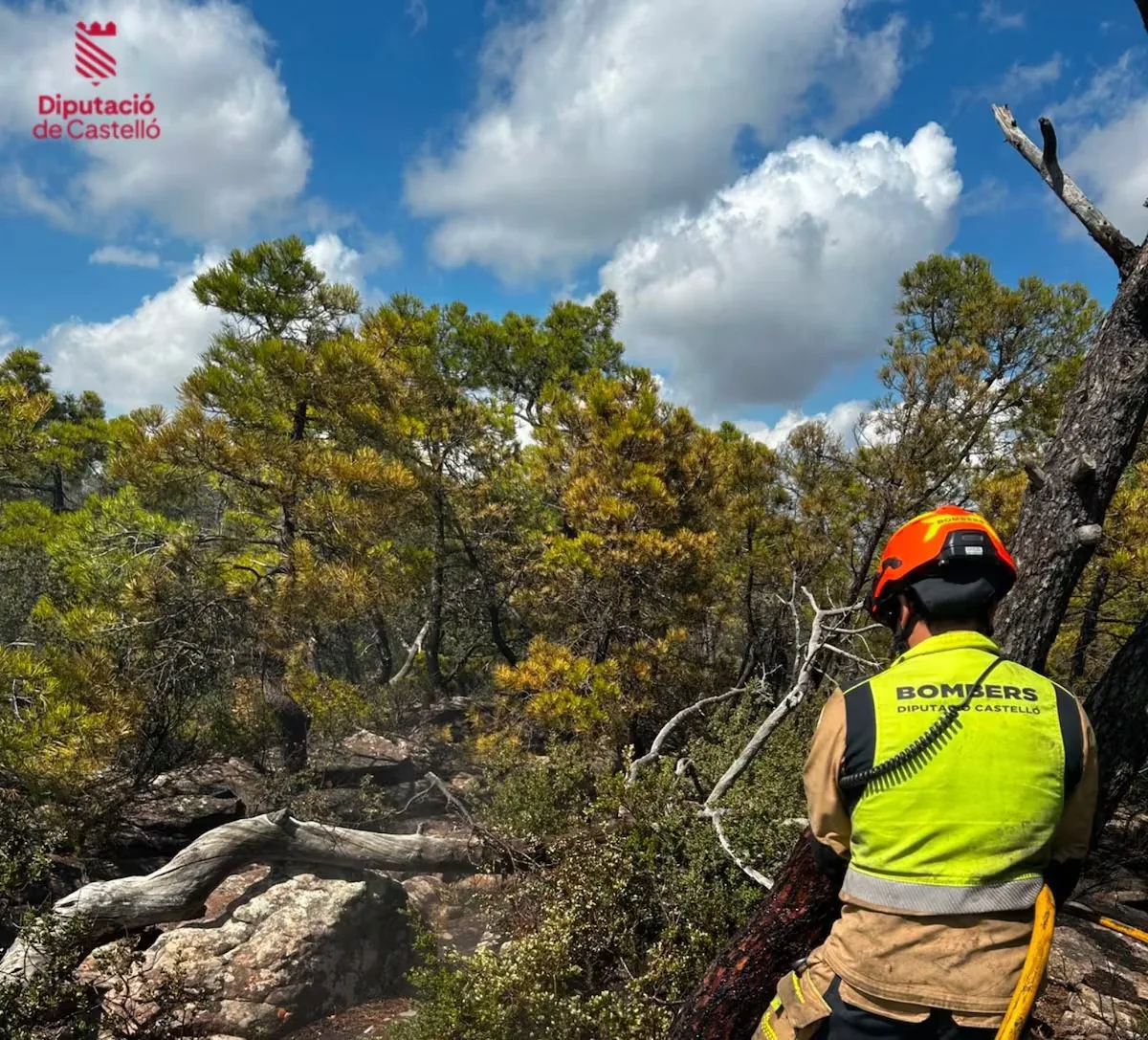 Forest fire in Segorbe stabilized after burning 630 hectares in the Sierra Calderona