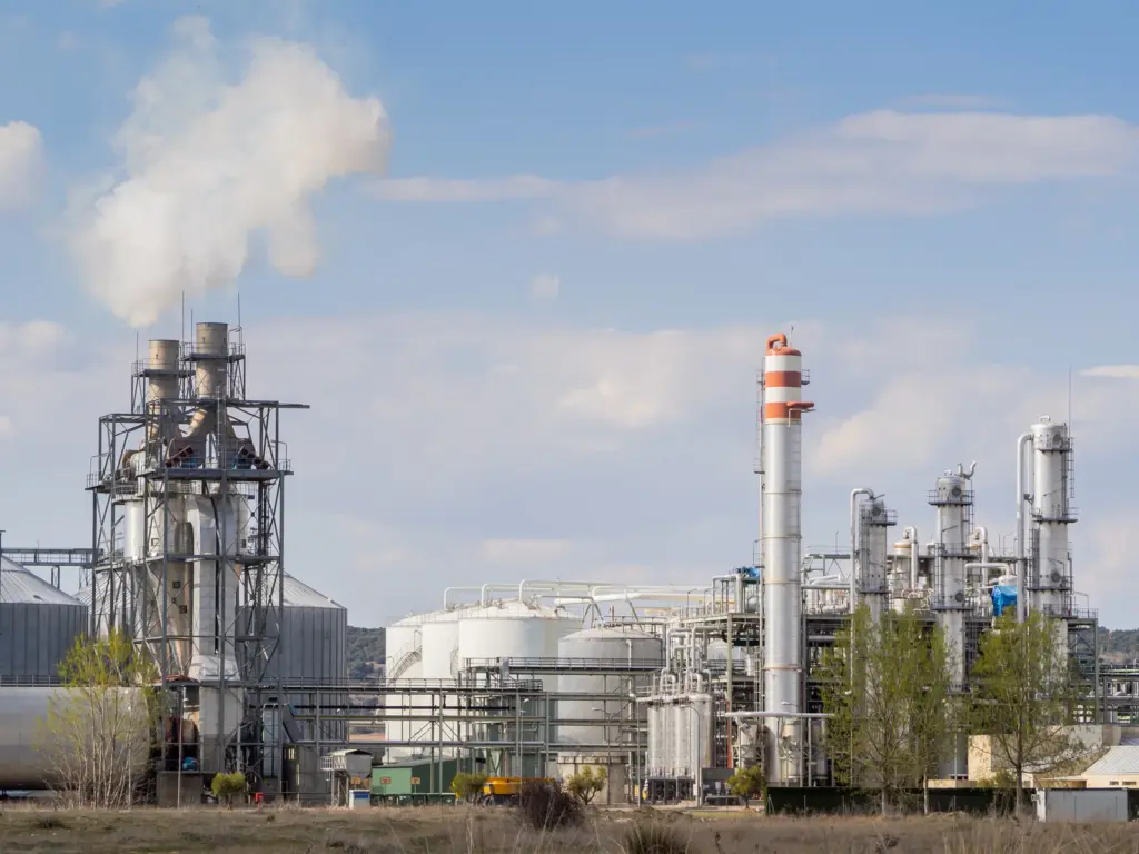 Environmental Hoax Detector | Five Myths About Forest Fires