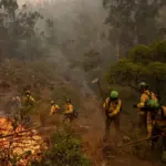 The Niebla (Huelva) fire keeps 467 people evacuated after burning through 8,000 hectares
