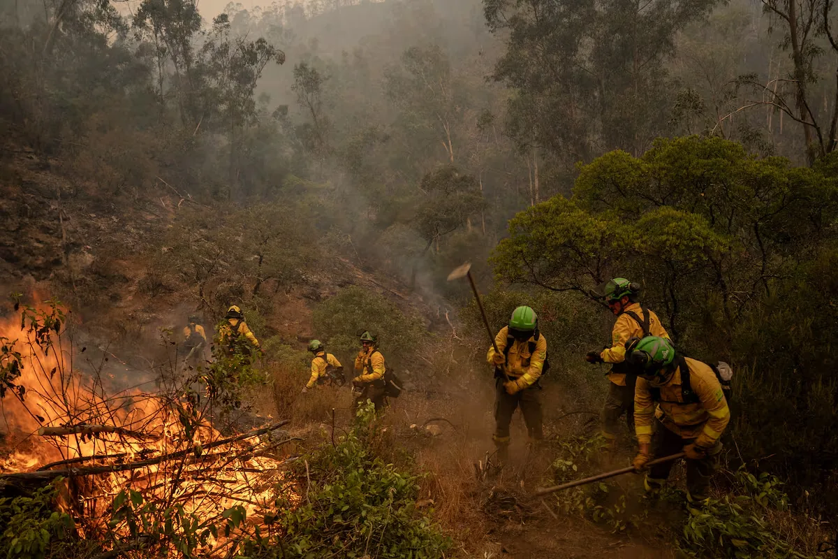 The Niebla (Huelva) fire keeps 467 people evacuated after burning through 8,000 hectares