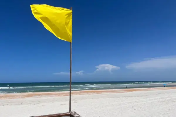 What is a yellow flag in a relationship, how to detect it and when to raise the red one