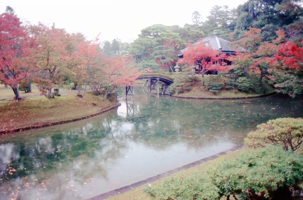 The Japanese garden: a microcosm that summarizes the world