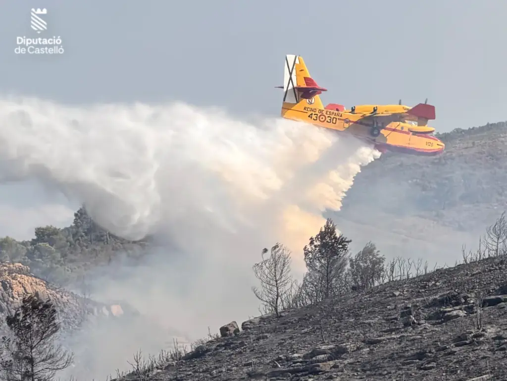 Firefighters strive to prevent the flames from the Segorbe fire from reaching the municipality of Gátova