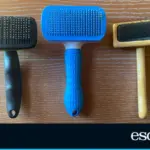 We put the best dog brushes to the test to find out which one is really worth it