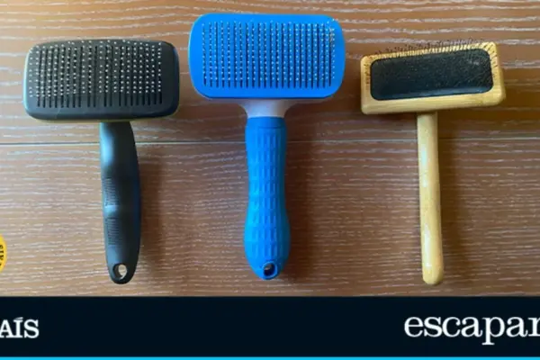 We put the best dog brushes to the test to find out which one is really worth it