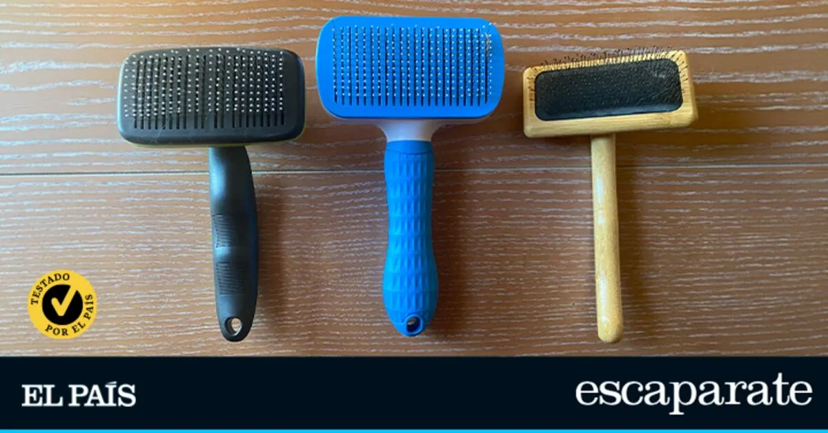 We put the best dog brushes to the test to find out which one is really worth it