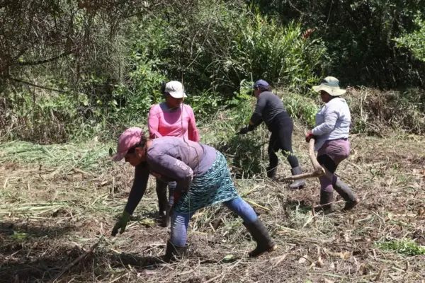 Women lead the restoration and protection of mangroves in El Salvador