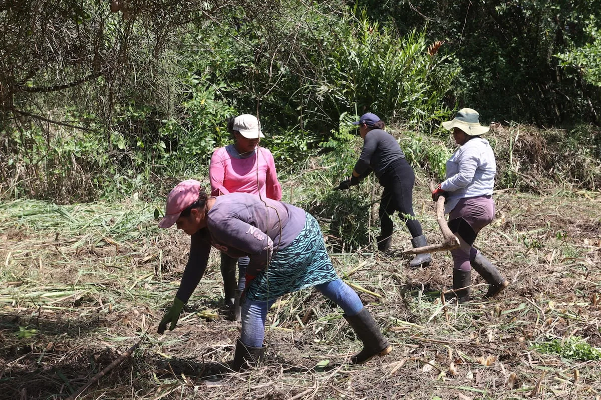 Women lead the restoration and protection of mangroves in El Salvador