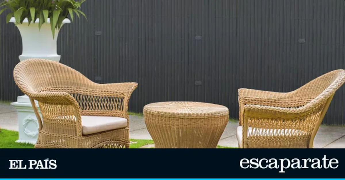 The privacy screen for the garden that increases intimacy without sacrificing aesthetics
